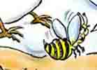 The BIrds and The Bees